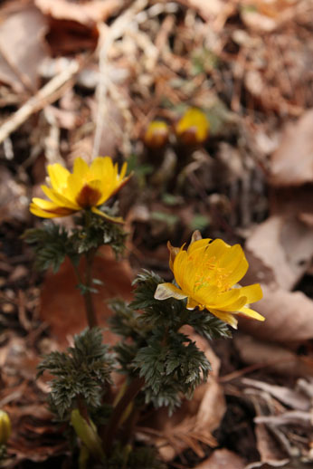 2014-03-12_2